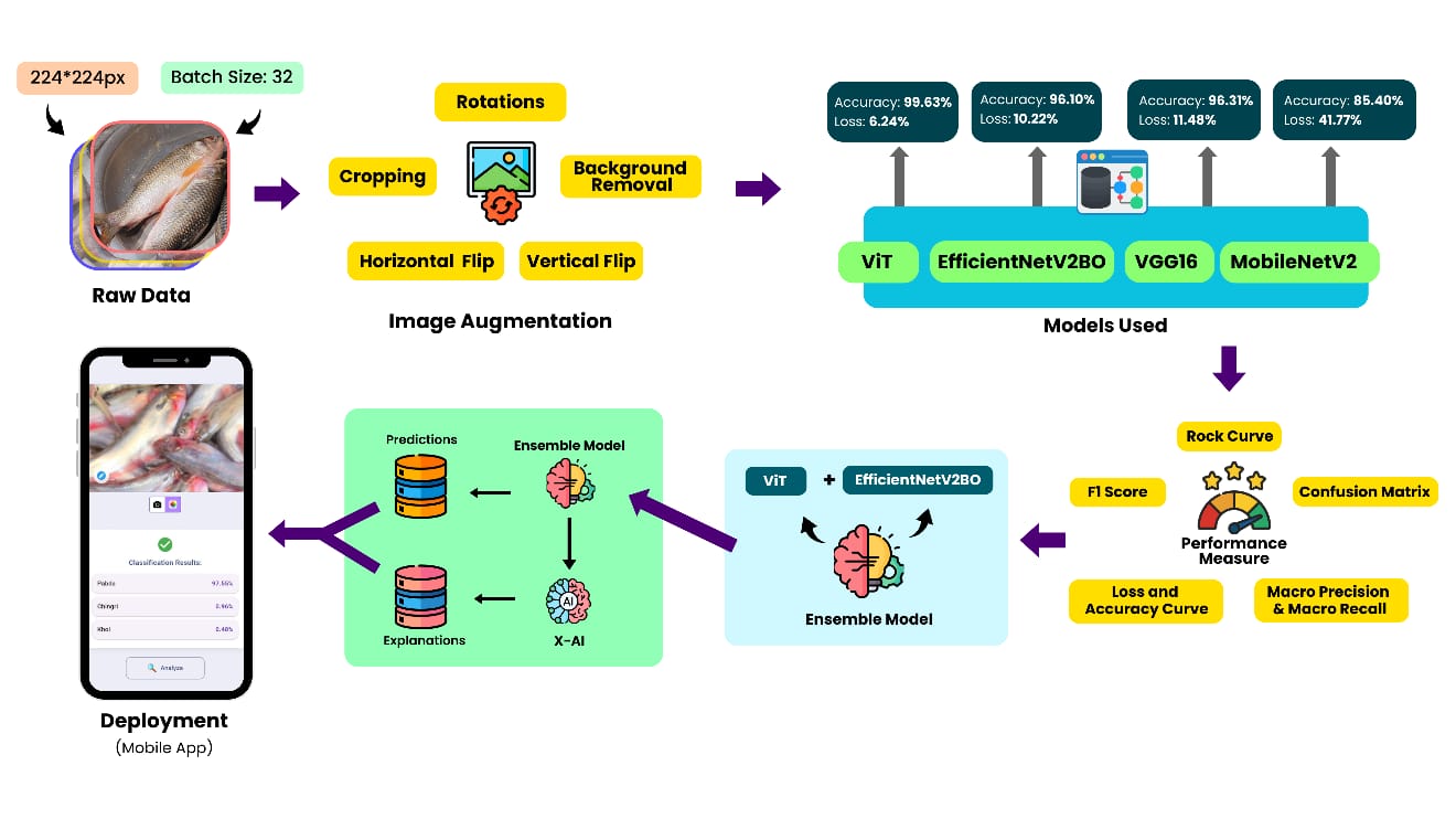 BongoFishX research visual